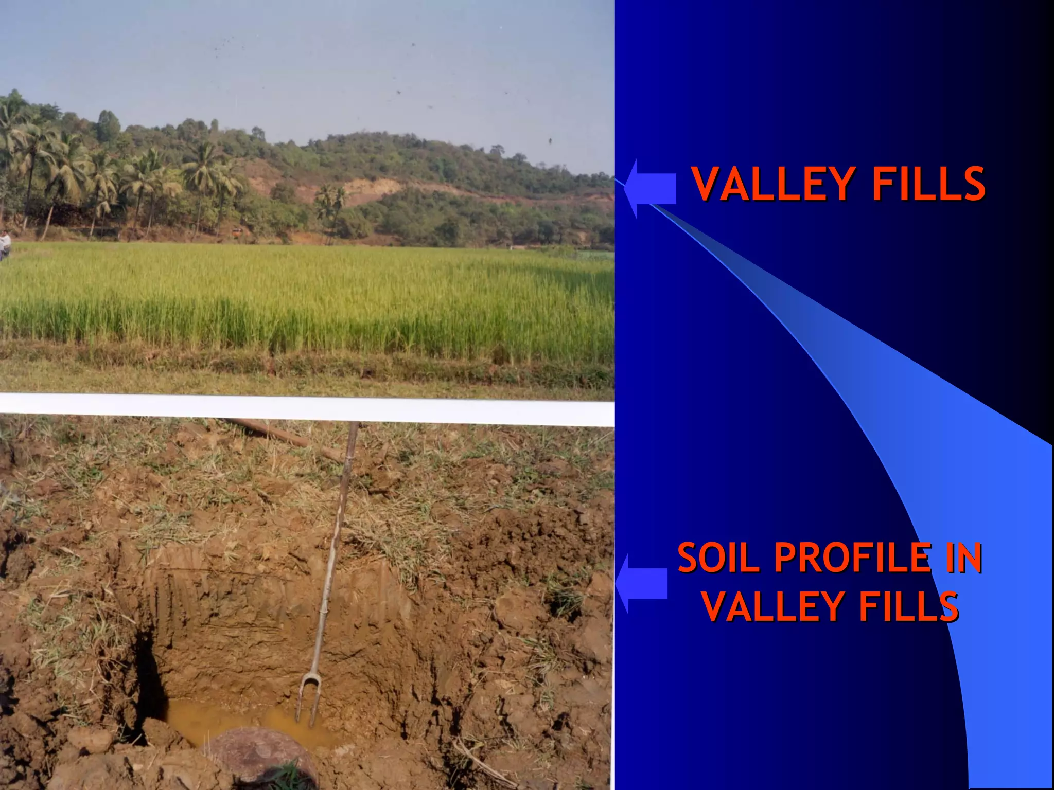 VALLEY FILLS




SOIL PROFILE IN
 VALLEY FILLS
 