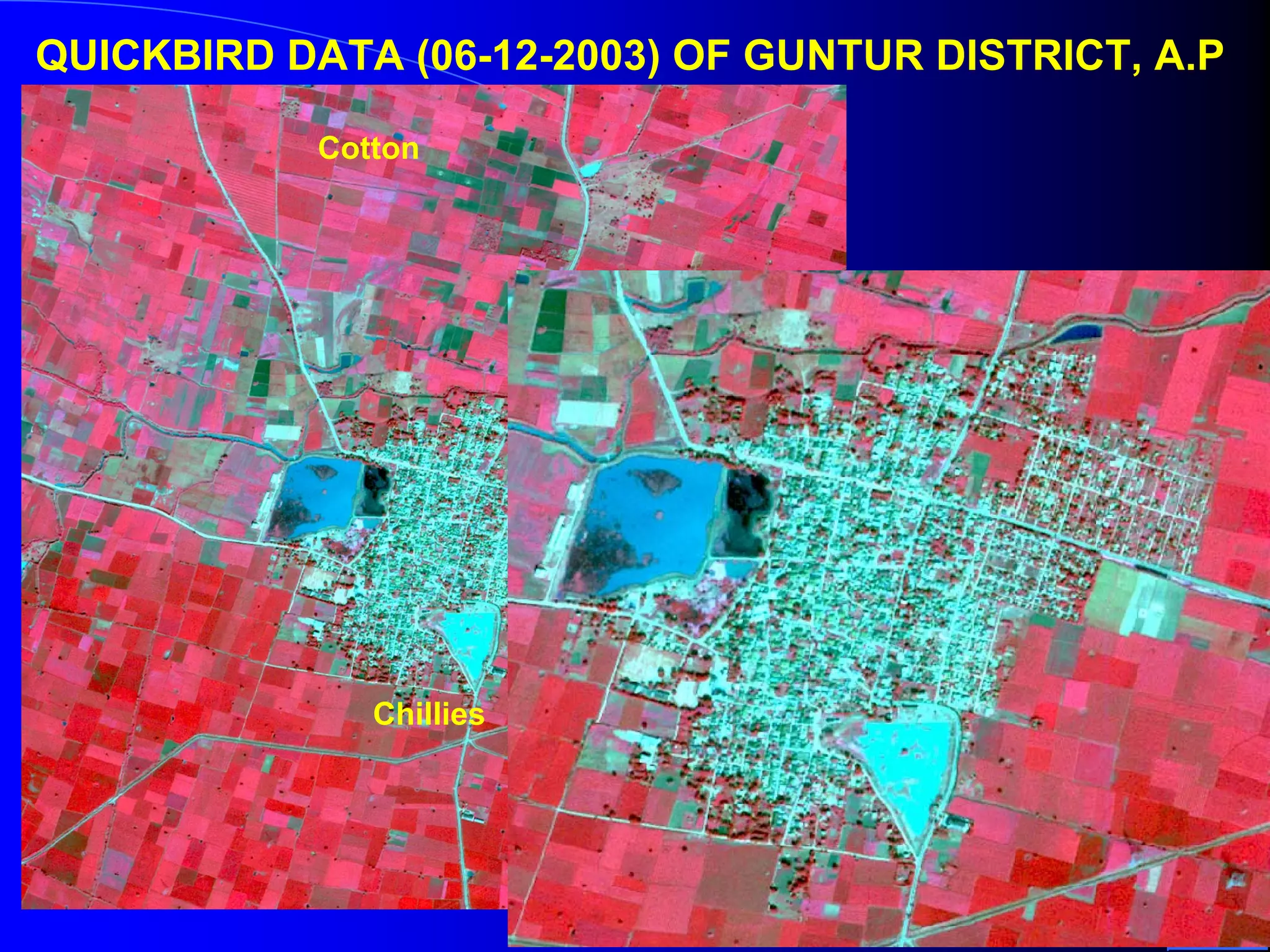 QUICKBIRD DATA (06-12-2003) OF GUNTUR DISTRICT, A.P

            Cotton




                          Pedda Parimi




               Chillies
 