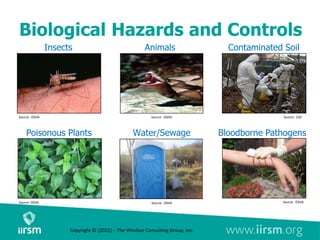 Biological Hazards and Controls
Bloodborne Pathogens
Animals
Source: OSHA
Water/Sewage
Source: OSHA
Source: OSHA
Poisonous Plants
Contaminated Soil
Source: CDC
Source: OSHA
Insects
Source: OSHA
Copyright © (2022) – The Windsor Consulting Group, Inc.
 