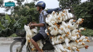 Volume
Esta informação é propriedade da Atech e não pode ser usada ou reproduzida sem autorização por escrito
 