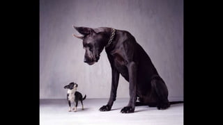 Esta informação é propriedade da Atech e não pode ser usada ou reproduzida sem autorização por escrito
 