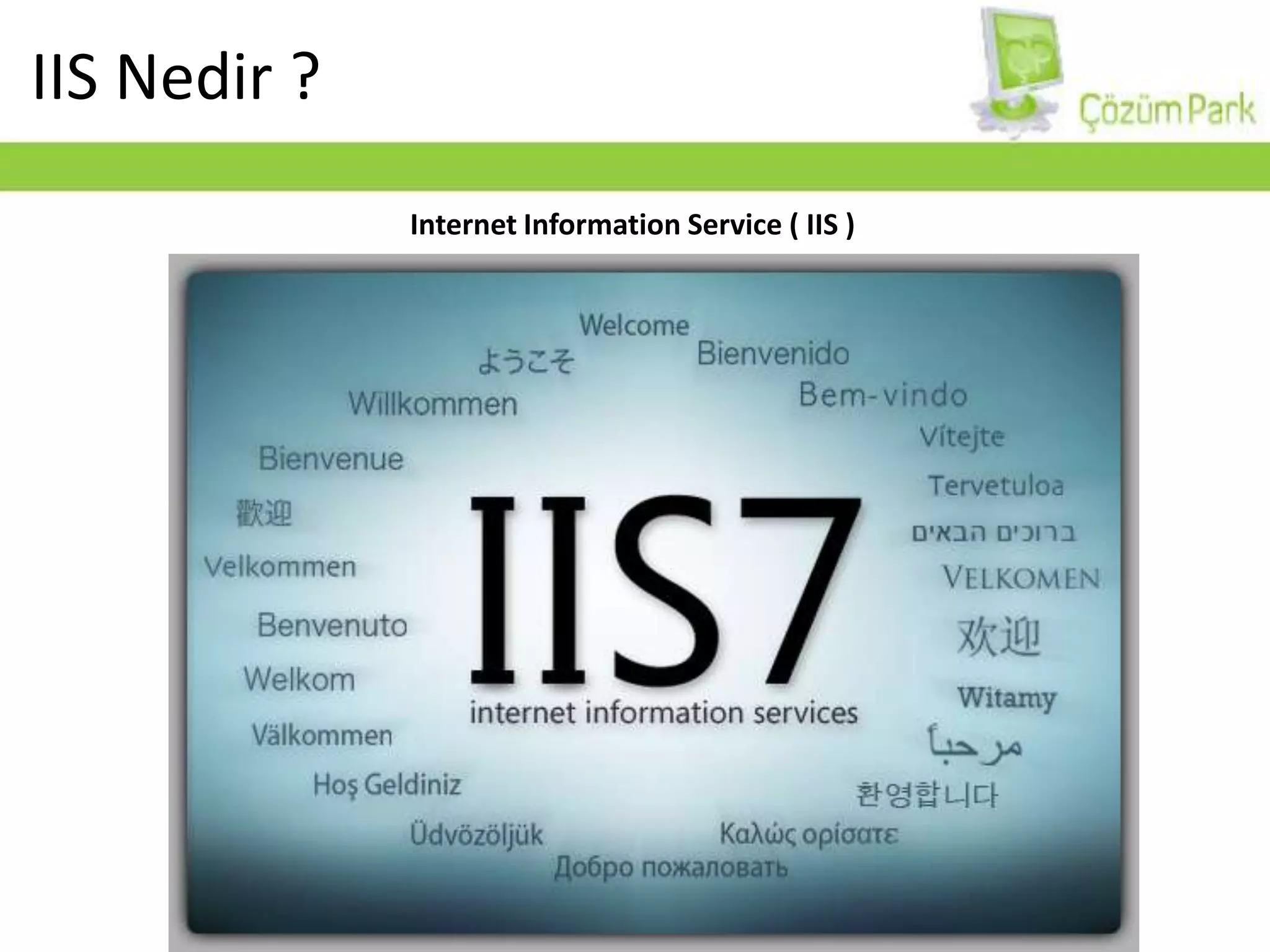 IIS Nedir ?Internet Information Service ( IIS )