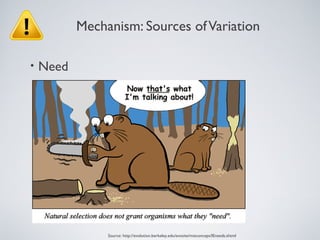 Mechanism: Sources of Variation

•   Need




                Source: http://evolution.berkeley.edu/evosite/misconceps/IEneeds.shtml
 