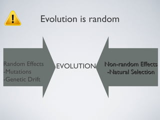 Evolution is random



Random Effects   EVOLUTION   Non-random Effects
-Mutations                    -Natural Selection
-Genetic Drift
 