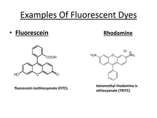 Examples Of Fluorescent Dyes
• Fluorescein Rhodamine
tetramethyl rhodamine is
othiocyanate (TRITC)
fluorescein isothiocyanate (FITC).
 
