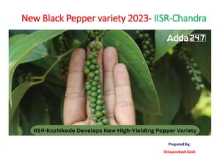 New Black Pepper variety 2023- IISR-Chandra
Prepared by;
Shivaprakash Godi
 