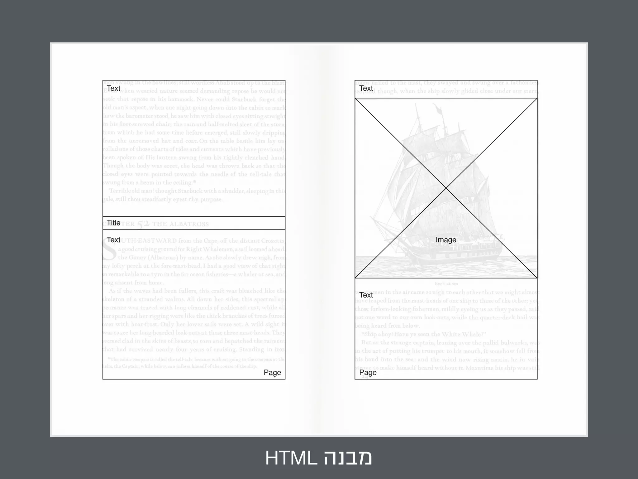 Text Text 
HTML מבנה 
Image 
Title 
Text 
Caption 
Page Page 
Text 
 