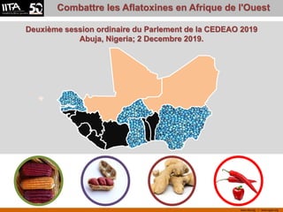 www.iita.org I www.cgiar.org
Combattre les Aflatoxines en Afrique de l'Ouest
Deuxième session ordinaire du Parlement de la CEDEAO 2019
Abuja, Nigeria; 2 Decembre 2019.
 