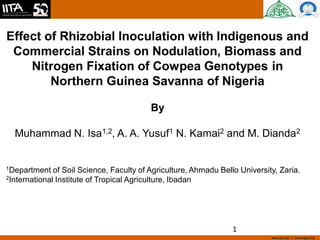 www.iita.org I www.cgiar.org
Effect of Rhizobial Inoculation with Indigenous and
Commercial Strains on Nodulation, Biomass and
Nitrogen Fixation of Cowpea Genotypes in
Northern Guinea Savanna of Nigeria
By
Muhammad N. Isa1,2, A. A. Yusuf1 N. Kamai2 and M. Dianda2
1Department of Soil Science, Faculty of Agriculture, Ahmadu Bello University, Zaria.
2International Institute of Tropical Agriculture, Ibadan
1
 