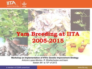 A member of CGIAR consortium www.iita.org
Workshop on Implementation of IITA’s Genetic Improvement Strategy
Antonio Lopez-Montes, R. Bhattacharjee and team
Ibadan 8th to 10th of 2013
Yam Breeding at IITA
2005-2015
 