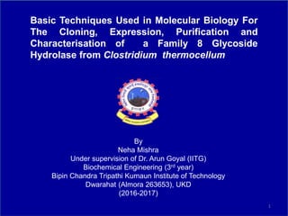 Basic Techniques Used in Molecular Biology For
The Cloning, Expression, Purification and
Characterisation of a Family 8 Gl...