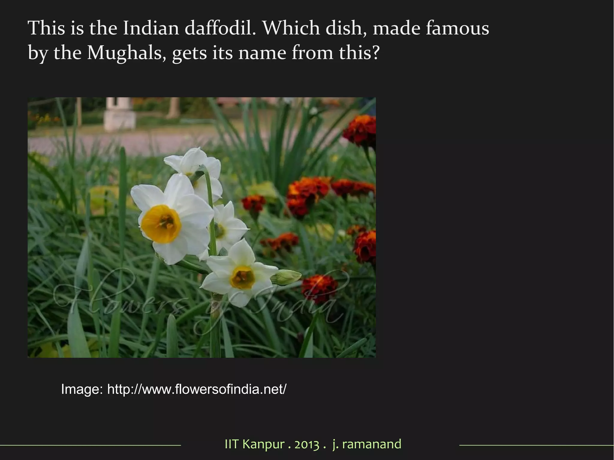 IIT Kanpur . 2013 . j. ramanand
This is the Indian daffodil. Which dish, made famous
by the Mughals, gets its name from this?
Image: http://www.flowersofindia.net/
 