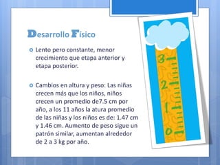 Desarrollo Físico
 Lento pero constante, menor
crecimiento que etapa anterior y
etapa posterior.
 Cambios en altura y peso: Las niñas
crecen más que los niños, niños
crecen un promedio de7.5 cm por
año, a los 11 años la atura promedio
de las niñas y los niños es de: 1.47 cm
y 1.46 cm. Aumento de peso sigue un
patrón similar, aumentan alrededor
de 2 a 3 kg por año.
 