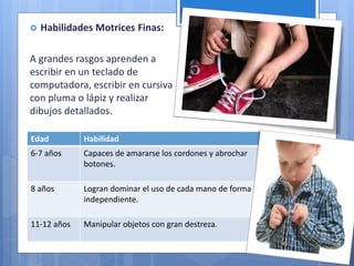  Habilidades Motrices Finas:
A grandes rasgos aprenden a
escribir en un teclado de
computadora, escribir en cursiva
con pluma o lápiz y realizar
dibujos detallados.
Edad Habilidad
6-7 años Capaces de amararse los cordones y abrochar
botones.
8 años Logran dominar el uso de cada mano de forma
independiente.
11-12 años Manipular objetos con gran destreza.
 