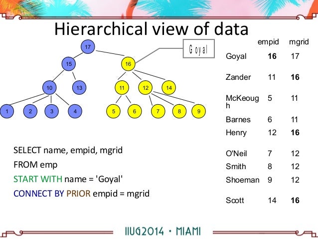 hierarchical database example hierarchical database example