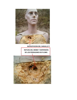 INCRUSTACION DEL SAQUILLO Y
ROTURA DEL MISMO Y DISPERSIÓN
DE LOS PERDIGONES DE PLOMO

 