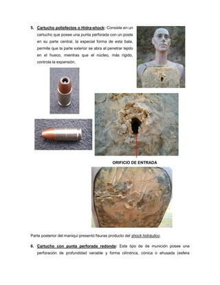 5. Cartucho poliefectos o Hidra-shock: Consiste en un
cartucho que posee una punta perforada con un poste
en su parte central, la especial forma de esta bala,
permite que la parte exterior se abra al penetrar tejido
en el hueco, mientras que el núcleo, más rígido,
controla la expansión.

ORIFICIO DE ENTRADA

Parte posterior del maniquí presentó fisuras producto del shock hidráulico.
6. Cartucho con punta perforada redonda: Este tipo de de munición posee una
perforación de profundidad variable y forma cilíndrica, cónica o ahusada (esfera

 
