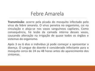 Febre Amarela
Transmissão: ocorre pela picada do mosquito infectado pelo
vírus da febre amarela. O vírus penetra no organismo, cai na
circulação e aloja-se nos vasos sanguíneos capilares. Como
consequência, há lesão da camada interna desses vasos,
causando alteração na irrigação de quase todos os órgãos e
sistemas do organismo.
Após 3 ou 6 dias o indivíduo já pode começar a apresentar a
doença. O sangue do doente é considerado infectante para o
mosquito cerca de 24 ou 48 horas antes do aparecimento dos
sintomas.
 