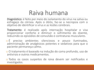 Raiva humana
Diagnóstico: é feito por meio do isolamento do vírus na saliva ou
esfregaço da córnea. Após o óbito, faz-se a necropsia com o
objetivo de identificar o vírus e as lesões cerebrais.
Tratamento: é realizado após internação hospitalar e visa
proporcionar conforto e diminuir o sofrimento do doente,
reduzindo os episódios de convulsão e contraturas musculares.
o É preciso ambientes silenciosos e pouco iluminados,
administração de analgésicos potentes e sedativos para que o
paciente permaneça calmo.
o O tratamento é baseado na indução do coma profundo, uso de
antivirais e outros medicamentos.
o Todos os casos suspeitos de raiva devem ser notificados e
investigados.
 