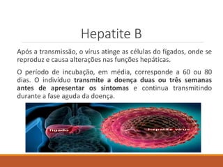 Hepatite B
Após a transmissão, o vírus atinge as células do fígados, onde se
reproduz e causa alterações nas funções hepáticas.
O período de incubação, em média, corresponde a 60 ou 80
dias. O indivíduo transmite a doença duas ou três semanas
antes de apresentar os sintomas e continua transmitindo
durante a fase aguda da doença.
 