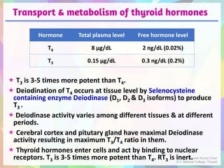 Transport & metabolism of thyroid hormones
 T3 is 3-5 times more potent than T4.
 Deiodination of T4 occurs at tissue level by Selenocysteine
containing enzyme Deiodinase (D1, D2 & D3 isoforms) to produce
T3 .
Deiodinase activity varies among different tissues & at different
periods.
 Cerebral cortex and pitutary gland have maximal Deiodinase
activity resulting in maximum T3/T4 ratio in them.
 Thyroid hormones enter cells and act by binding to nuclear
receptors. T3 is 3-5 times more potent than T4. RT3 is inert.
Hormone Total plasma level Free hormone level
T4 8 μg/dL 2 ng/dL (0.02%)
T3 0.15 μg/dL 0.3 ng/dL (0.2%)
Dr Naveen Kumar Cheri
S.V. Medical College, Tirupati
 