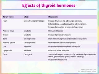 Effects of thyroid hormones
Dr Naveen Kumar Cheri
S.V. Medical College, Tirupati
 