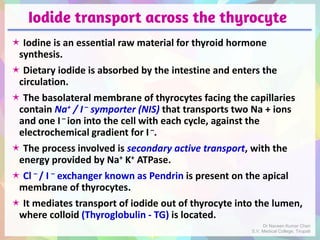 Iodide transport across the thyrocyte
 Iodine is an essential raw material for thyroid hormone
synthesis.
 Dietary iodide is absorbed by the intestine and enters the
circulation.
 The basolateral membrane of thyrocytes facing the capillaries
contain Na+ / I– symporter (NIS) that transports two Na + ions
and one I– ion into the cell with each cycle, against the
electrochemical gradient for I –.
 The process involved is secondary active transport, with the
energy provided by Na+ K+ ATPase.
 Cl – / I – exchanger known as Pendrin is present on the apical
membrane of thyrocytes.
 It mediates transport of iodide out of thyrocyte into the lumen,
where colloid (Thyroglobulin - TG) is located.
Dr Naveen Kumar Cheri
S.V. Medical College, Tirupati
 