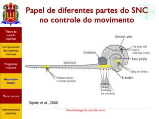 Neurofisiologia do controle motor
Hipotálamo
e homeostase
Coneitos
motivacionais
Áreas funcionais
do córtex
Sede
Fome
Sensação e
percepção
Controle
motor
Sistema
comportamental
Componentes
dos sistemas
motores
Tratos da
medula
espinhal
Placa motora
Programas
motores
Neuroeixo
motor
Ciclos
locomotores
Interneurônios
espinhais
Papel de diferentes partes do SNC
no controle do movimento
Squire et al., 2008
Hipotálamo
e homeostase
Coneitos
motivacionais
Áreas funcionais
do córtex
Sede
Fome
Sensação e
percepção
Controle
motor
Sistema
comportamental
Componentes
dos sistemas
motores
Tratos da
medula
espinhal
Placa motora
Programas
motores
Neuroeixo
motor
Ciclos
locomotores
Interneurônios
espinhais
Hipotálamo
e homeostase
Coneitos
motivacionais
Áreas funcionais
do córtex
Sede
Fome
Sensação e
percepção
Componentes
dos sistemas
motores
Tratos da
medula
espinhal
Placa motora
Programas
motores
Neuroeixo
motor
Interneurônios
espinhais
 