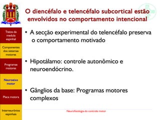 Neurofisiologia do controle motor
O diencéfalo e telencéfalo subcortical estão
envolvidos no comportamento intencional
● A secção experimental do telencéfalo preserva
o comportamento motivado
●
Hipotálamo: controle autonômico e
neuroendócrino.
● Gânglios da base: Programas motores
complexos
Hipotálamo
e homeostase
Coneitos
motivacionais
Áreas funcionais
do córtex
Sede
Fome
Sensação e
percepção
Controle
motor
Sistema
comportamental
Componentes
dos sistemas
motores
Tratos da
medula
espinhal
Placa motora
Programas
motores
Neuroeixo
motor
Ciclos
locomotores
Interneurônios
espinhais
Hipotálamo
e homeostase
Coneitos
motivacionais
Áreas funcionais
do córtex
Sede
Fome
Sensação e
percepção
Controle
motor
Sistema
comportamental
Componentes
dos sistemas
motores
Tratos da
medula
espinhal
Placa motora
Programas
motores
Neuroeixo
motor
Ciclos
locomotores
Interneurônios
espinhais
Hipotálamo
e homeostase
Coneitos
motivacionais
Áreas funcionais
do córtex
Sede
Fome
Sensação e
percepção
Componentes
dos sistemas
motores
Tratos da
medula
espinhal
Placa motora
Programas
motores
Neuroeixo
motor
Interneurônios
espinhais
 