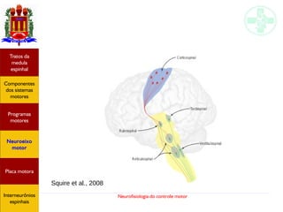 Neurofisiologia do controle motor
Hipotálamo
e homeostase
Coneitos
motivacionais
Áreas funcionais
do córtex
Sede
Fome
Sensação e
percepção
Controle
motor
Sistema
comportamental
Componentes
dos sistemas
motores
Tratos da
medula
espinhal
Placa motora
Programas
motores
Neuroeixo
motor
Ciclos
locomotores
Interneurônios
espinhais
Squire et al., 2008
Hipotálamo
e homeostase
Coneitos
motivacionais
Áreas funcionais
do córtex
Sede
Fome
Sensação e
percepção
Componentes
dos sistemas
motores
Tratos da
medula
espinhal
Placa motora
Programas
motores
Neuroeixo
motor
Interneurônios
espinhais
 