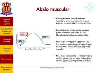 Neurofisiologia do controle motor
Abalo muscular
Hipotálamo
e homeostase
Coneitos
motivacionais
Áreas funcionais
do córtex
Sede
Fome
Sensação e
percepção
Controle
motor
Sistema
comportamental
Componentes
dos sistemas
motores
Tratos da
medula
espinhal
Placa motora
Programas
motores
Neuroeixo
motor
Ciclos
locomotores
Interneurônios
espinhais
●
Contração breve de todas as fibras
musculares em uma unidade motora em
resposta a um unico PA do motoneurônio
●
Período latente PA muscular propaga→
para o sarcolema e os íons Ca2+ são
liberados pelo retículo sarcoplasmático
●
Período de contração Ligação do Ca2+→
à troponina, exposição dos sítios de ligação
da miosina na actina, formação de pontes
cruzadas
●
Período de relaxamento Transporte ativo→
do Ca2+ para o retículo, sítios de ligação da
miosina cobertos, desligamento da miosina
Hipotálamo
e homeostase
Coneitos
motivacionais
Áreas funcionais
do córtex
Sede
Fome
Sensação e
percepção
Componentes
dos sistemas
motores
Tratos da
medula
espinhal
Placa motora
Programas
motores
Neuroeixo
motor
Interneurônios
espinhais
 