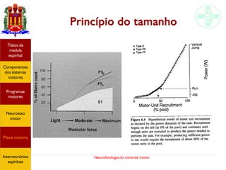 Neurofisiologia do controle motor
Princípio do tamanho
Hipotálamo
e homeostase
Coneitos
motivacionais
Áreas funcionais
do córtex
Sede
Fome
Sensação e
percepção
Componentes
dos sistemas
motores
Tratos da
medula
espinhal
Placa motora
Programas
motores
Neuroeixo
motor
Interneurônios
espinhais
 