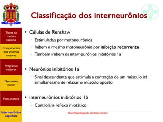 Neurofisiologia do controle motor
Classificação dos interneurônios
● Células de Renshaw
– Estimuladas por motoneurônios
– Inibem o mesmo motoneurônio por inibição recorrente
– Também inibem os interneurônios inibitórios 1a
●
Neurônios inibitórios 1a
– Sinal descendente que estimula a contração de um músculo irá
simultaneamente relaxar o músculo oposto
●
Interneurônios inibitórios 1b
– Controlam reflexo miotático
Hipotálamo
e homeostase
Coneitos
motivacionais
Áreas funcionais
do córtex
Sede
Fome
Sensação e
percepção
Componentes
dos sistemas
motores
Tratos da
medula
espinhal
Placa motora
Programas
motores
Neuroeixo
motor
Interneurônios
espinhais
 