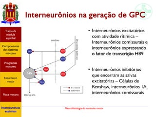 Neurofisiologia do controle motor
Interneurônios na geração de GPC
●
Interneurônios excitatórios
com atividade rítimica –
Interneurônios comissurais e
interneurônios expressando
o fator de transcrição HB9
●
Interneurônios inibitórios
que encerram as salvas
excitatórias – Células de
Renshaw, interneurônios 1A,
interneurônios comissurais
Hipotálamo
e homeostase
Coneitos
motivacionais
Áreas funcionais
do córtex
Sede
Fome
Sensação e
percepção
Componentes
dos sistemas
motores
Tratos da
medula
espinhal
Placa motora
Programas
motores
Neuroeixo
motor
Interneurônios
espinhais
 