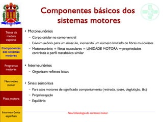 Neurofisiologia do controle motor
Componentes básicos dos
sistemas motores
●
Motoneurônios
– Corpo celular no corno ventral
– Enviam axônio para um músculo, inervando um número limitado de fibras musculares
– Motoneurônio + fibras musculares = UNIDADE MOTORA propriedades→
contráteis e perfil metabólico similar
●
Interneurônios
– Organizam reflexos locais
● Sinais sensoriais
– Para atos motores de significado comportamenta (retirada, tosse, deglutição, &c)
– Propriocepção
– Equilíbrio
Hipotálamo
e homeostase
Coneitos
motivacionais
Áreas funcionais
do córtex
Sede
Fome
Sensação e
percepção
Controle
motor
Sistema
comportamental
Componentes
dos sistemas
motores
Tratos da
medula
espinhal
Placa motora
Programas
motores
Neuroeixo
motor
Ciclos
locomotores
Interneurônios
espinhais
Hipotálamo
e homeostase
Coneitos
motivacionais
Áreas funcionais
do córtex
Sede
Fome
Sensação e
percepção
Controle
motor
Sistema
comportamental
Componentes
dos sistemas
motores
Tratos da
medula
espinhal
Placa motora
Programas
motores
Neuroeixo
motor
Ciclos
locomotores
Interneurônios
espinhais
Hipotálamo
e homeostase
Coneitos
motivacionais
Áreas funcionais
do córtex
Sede
Fome
Sensação e
percepção
Controle
motor
Sistema
comportamental
Componentes
dos sistemas
motores
Tratos da
medula
espinhal
Placa motora
Programas
motores
Neuroeixo
motor
Ciclos
locomotores
Interneurônios
espinhais
Hipotálamo
e homeostase
Coneitos
motivacionais
Áreas funcionais
do córtex
Sede
Fome
Sensação e
percepção
Controle
motor
Sistema
comportamental
Componentes
dos sistemas
motores
Tratos da
medula
espinhal
Placa motora
Programas
motores
Neuroeixo
motor
Ciclos
locomotores
Interneurônios
espinhais
Hipotálamo
e homeostase
Coneitos
motivacionais
Áreas funcionais
do córtex
Sede
Fome
Sensação e
percepção
Componentes
dos sistemas
motores
Tratos da
medula
espinhal
Placa motora
Programas
motores
Neuroeixo
motor
Interneurônios
espinhais
 