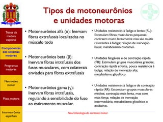 Neurofisiologia do controle motor
Tipos de motoneurônios
e unidades motoras
●
Motoneurônios alfa (α): Inervam
fibras extrafusais localizadas no
músculo todo
●
Motoneurônios beta (β):
Inervam fibras intrafusais dos
fusos musculares, com colaterais
enviados para fibras extrafusais
●
Motoneurônios gama (γ):
Inervam fibras intrafusais,
regulando a sensibilidade do fuso
ao estiramento muscular.
Hipotálamo
e homeostase
Coneitos
motivacionais
Áreas funcionais
do córtex
Sede
Fome
Sensação e
percepção
Controle
motor
Sistema
comportamental
Componentes
dos sistemas
motores
Tratos da
medula
espinhal
Placa motora
Programas
motores
Neuroeixo
motor
Ciclos
locomotores
Interneurônios
espinhais
●
Unidades resistentes à fadiga e lentas (RL):
Estimulam fibras musculares pequenas;
contraem muito lentamente mas são muito
resistentes à fadiga; relação de inervação
baixa; metabolismo oxidativo.
●
Unidades fatigáveis e de contração rápida
(FR): Estimulam grupos musculares grandes;
contração rápida e forte, pouca resistência à
fadiga; relação de inervação alta;
metabolismo glicolítico.
●
Unidades resistentes à fadiga e de contração
rápida (RR): Estomulam grupos musculares
médios; contração mais lenta, mas com
mais força; relação de inervação
intermediária; metabolismo glicolitico e
oxidativo.
Hipotálamo
e homeostase
Coneitos
motivacionais
Áreas funcionais
do córtex
Sede
Fome
Sensação e
percepção
Controle
motor
Sistema
comportamental
Componentes
dos sistemas
motores
Tratos da
medula
espinhal
Placa motora
Programas
motores
Neuroeixo
motor
Ciclos
locomotores
Interneurônios
espinhais
Hipotálamo
e homeostase
Coneitos
motivacionais
Áreas funcionais
do córtex
Sede
Fome
Sensação e
percepção
Controle
motor
Sistema
comportamental
Componentes
dos sistemas
motores
Tratos da
medula
espinhal
Placa motora
Programas
motores
Neuroeixo
motor
Ciclos
locomotores
Interneurônios
espinhais
Hipotálamo
e homeostase
Coneitos
motivacionais
Áreas funcionais
do córtex
Sede
Fome
Sensação e
percepção
Controle
motor
Sistema
comportamental
Componentes
dos sistemas
motores
Tratos da
medula
espinhal
Placa motora
Programas
motores
Neuroeixo
motor
Ciclos
locomotores
Interneurônios
espinhais
Hipotálamo
e homeostase
Coneitos
motivacionais
Áreas funcionais
do córtex
Sede
Fome
Sensação e
percepção
Componentes
dos sistemas
motores
Tratos da
medula
espinhal
Placa motora
Programas
motores
Neuroeixo
motor
Interneurônios
espinhais
 