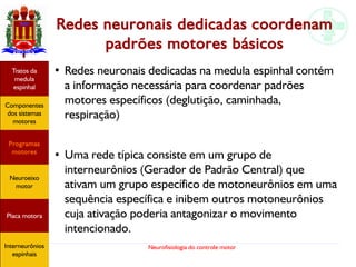 Neurofisiologia do controle motor
Hipotálamo
e homeostase
Coneitos
motivacionais
Áreas funcionais
do córtex
Sede
Fome
Sensação e
percepção
Controle
motor
Sistema
comportamental
Componentes
dos sistemas
motores
Tratos da
medula
espinhal
Placa motora
Programas
motores
Neuroeixo
motor
Ciclos
locomotores
Interneurônios
espinhais
Redes neuronais dedicadas coordenam
padrões motores básicos
●
Redes neuronais dedicadas na medula espinhal contém
a informação necessária para coordenar padrões
motores específicos (deglutição, caminhada,
respiração)
●
Uma rede típica consiste em um grupo de
interneurônios (Gerador de Padrão Central) que
ativam um grupo específico de motoneurônios em uma
sequência específica e inibem outros motoneurônios
cuja ativação poderia antagonizar o movimento
intencionado.
Hipotálamo
e homeostase
Coneitos
motivacionais
Áreas funcionais
do córtex
Sede
Fome
Sensação e
percepção
Controle
motor
Sistema
comportamental
Componentes
dos sistemas
motores
Tratos da
medula
espinhal
Placa motora
Programas
motores
Neuroeixo
motor
Ciclos
locomotores
Interneurônios
espinhais
Hipotálamo
e homeostase
Coneitos
motivacionais
Áreas funcionais
do córtex
Sede
Fome
Sensação e
percepção
Controle
motor
Sistema
comportamental
Componentes
dos sistemas
motores
Tratos da
medula
espinhal
Placa motora
Programas
motores
Neuroeixo
motor
Ciclos
locomotores
Interneurônios
espinhais
Hipotálamo
e homeostase
Coneitos
motivacionais
Áreas funcionais
do córtex
Sede
Fome
Sensação e
percepção
Componentes
dos sistemas
motores
Tratos da
medula
espinhal
Placa motora
Programas
motores
Neuroeixo
motor
Interneurônios
espinhais
 