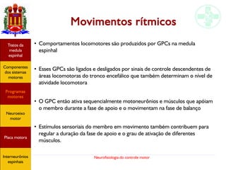 Neurofisiologia do controle motor
Movimentos rítmicos
●
Comportamentos locomotores são produzidos por GPCs na medula
espinhal
●
Esses GPCs são ligados e desligados por sinais de controle descendentes de
áreas locomotoras do tronco encefálico que também determinam o nível de
atividade locomotora
●
O GPC então ativa sequencialmente motoneurônios e músculos que apóiam
o membro durante a fase de apoio e o movimentam na fase de balanço
●
Estímulos sensoriais do membro em movimento também contribuem para
regular a duração da fase de apoio e o grau de ativação de diferentes
músculos.
Hipotálamo
e homeostase
Coneitos
motivacionais
Áreas funcionais
do córtex
Sede
Fome
Sensação e
percepção
Controle
motor
Sistema
comportamental
Componentes
dos sistemas
motores
Tratos da
medula
espinhal
Placa motora
Programas
motores
Ciclos
locomotores
Ciclos
locomotores
Interneurônios
espinhais
Hipotálamo
e homeostase
Coneitos
motivacionais
Áreas funcionais
do córtex
Sede
Fome
Sensação e
percepção
Controle
motor
Sistema
comportamental
Componentes
dos sistemas
motores
Tratos da
medula
espinhal
Placa motora
Programas
motores
Neuroeixo
motor
Ciclos
locomotores
Interneurônios
espinhais
Hipotálamo
e homeostase
Coneitos
motivacionais
Áreas funcionais
do córtex
Sede
Fome
Sensação e
percepção
Controle
motor
Sistema
comportamental
Componentes
dos sistemas
motores
Tratos da
medula
espinhal
Placa motora
Programas
motores
Neuroeixo
motor
Ciclos
locomotores
Interneurônios
espinhais
Hipotálamo
e homeostase
Coneitos
motivacionais
Áreas funcionais
do córtex
Sede
Fome
Sensação e
percepção
Controle
motor
Sistema
comportamental
Componentes
dos sistemas
motores
Tratos da
medula
espinhal
Placa motora
Programas
motores
Neuroeixo
motor
Ciclos
locomotores
Interneurônios
espinhais
Hipotálamo
e homeostase
Coneitos
motivacionais
Áreas funcionais
do córtex
Sede
Fome
Sensação e
percepção
Componentes
dos sistemas
motores
Tratos da
medula
espinhal
Placa motora
Programas
motores
Neuroeixo
motor
Interneurônios
espinhais
 