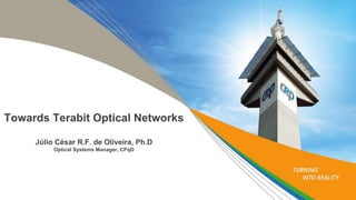 Towards Terabit per Second Optical Networking | PDF