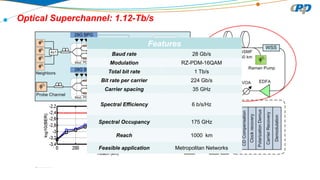 Towards Terabit per Second Optical Networking | PDF