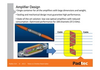 Submarine Amplifiers and Systems | PDF