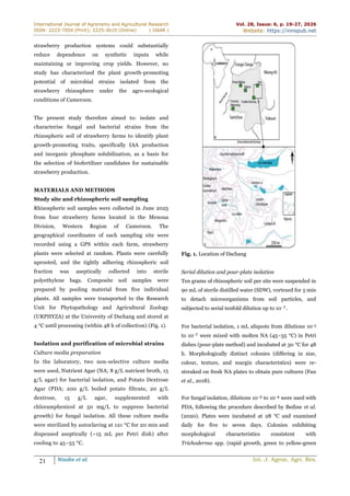 International Journal of Agronomy and Agricultural Research
ISSN: 2223-7054 (Print); 2225-3610 (Online) | IJAAR |
Vol. 28, Issue: 6, p. 19-27, 2026
Website: https://innspub.net
21 Nindie et al. Int. J. Agron. Agri. Res.
strawberry production systems could substantially
reduce dependence on synthetic inputs while
maintaining or improving crop yields. However, no
study has characterized the plant growth-promoting
potential of microbial strains isolated from the
strawberry rhizosphere under the agro-ecological
conditions of Cameroon.
The present study therefore aimed to: isolate and
characterise fungal and bacterial strains from the
rhizospheric soil of strawberry farms to identify plant
growth-promoting traits, specifically IAA production
and inorganic phosphate solubilization, as a basis for
the selection of biofertilizer candidates for sustainable
strawberry production.
MATERIALS AND METHODS
Study site and rhizospheric soil sampling
Rhizospheric soil samples were collected in June 2025
from four strawberry farms located in the Menoua
Division, Western Region of Cameroon. The
geographical coordinates of each sampling site were
recorded using a GPS within each farm, strawberry
plants were selected at random. Plants were carefully
uprooted, and the tightly adhering rhizospheric soil
fraction was aseptically collected into sterile
polyethylene bags. Composite soil samples were
prepared by pooling material from five individual
plants. All samples were transported to the Research
Unit for Phytopathology and Agricultural Zoology
(URPHYZA) at the University of Dschang and stored at
4 °C until processing (within 48 h of collection) (Fig. 1).
Isolation and purification of microbial strains
Culture media preparation
In the laboratory, two non-selective culture media
were used, Nutrient Agar (NA; 8 g/L nutrient broth, 15
g/L agar) for bacterial isolation, and Potato Dextrose
Agar (PDA; 200 g/L boiled potato filtrate, 20 g/L
dextrose, 15 g/L agar, supplemented with
chloramphenicol at 50 mg/L to suppress bacterial
growth) for fungal isolation. All these culture media
were sterilized by autoclaving at 121 °C for 20 min and
dispensed aseptically (~15 mL per Petri dish) after
cooling to 45–55 °C.
Fig. 1. Location of Dschang
Serial dilution and pour-plate isolation
Ten grams of rhizospheric soil per site were suspended in
90 mL of sterile distilled water (SDW), vortexed for 5 min
to detach microorganisms from soil particles, and
subjected to serial tenfold dilution up to 10⁻⁷.
For bacterial isolation, 1 mL aliquots from dilutions 10⁻5
to 10⁻⁷ were mixed with molten NA (45–55 °C) in Petri
dishes (pour-plate method) and incubated at 30 °C for 48
h. Morphologically distinct colonies (differing in size,
colour, texture, and margin characteristics) were re-
streaked on fresh NA plates to obtain pure cultures (Fan
et al., 2018).
For fungal isolation, dilutions 10⁻² to 10⁻⁴ were used with
PDA, following the procedure described by Bedine et al.
(2020). Plates were incubated at 28 °C and examined
daily for five to seven days. Colonies exhibiting
morphological characteristics consistent with
Trichoderma spp. (rapid growth, green to yellow-green
 