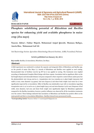 Akhtar et al. Page 58
RESEARCH PAPER OPEN ACCESS
Phosphate solubilizing potential of Rhizobium and Bacillus
species for enhancing yield and available phosphorus in maize
crop (Zea mays)
Naseem Akhtar*
, Fakhar Mujeeb, Muhammad Amjad Qureshi, Munnaza Rafique,
Aneela Riaz, Muhammad Asif Ali
Soil Bacteriology Section Agriculture Biotechnology Research Institute, AARI, Faisalabad, Pakistan
Article published on January 20, 2014
Key words: Bacillus, Co-inoculation, Rhizobium, Zea Mays.
Abstract
A field experiment was conducted to evaluate the separate and integrated effect of Rhizobium and Bacillus spp.
on the growth of maize (Zea Mays L.). Inocula of Rhizobium and Bacillus were applied as seed coating.
Recommended dose of fertilizer (120-60 kg NP ha-1) was applied at sowing. The treatments were implied
according to Randomized Complete Block Design with three repeats. Inoculation had no significant effect on the
leaf length (84cm) and internodal distance (18.3cm) compared to their respective control (80cm and16.5cm) but
the photosynthetic rate (105.3µ mol-2s-1) , transpiration rate (13.2 mmolm-2s-1), plant height (259.3cm), leaf
width (7.7cm), stem diameter (15.43mm), leaf area (644cm-2) and shoot fresh weight (79.6 tones ha-1) were
significantly improved by co-inoculation. Effect of Bacillus was statistically at par with co-inoculation regarding
transpiration rate (11.47 m mol m-2s-1), plant height (249.3 cm) and stem diameter (14.87 mm). Response of leaf
width, stem diameter, leaf area and shoot fresh weight were significantly higher by Rhizobium application
compared to the Bacillus inoculation, however, positive influence was observed by all the inoculation treatments
over the control. These findings indicated that inoculation of Rhizobium and Bacillus has positive effect on the
maize growth and their co-inoculation (Rhizobium+ Bacillus) showed more pronounced results.
* Corresponding Author: Naseem Akhtar  nasimsajjad235@gmail.com
International Journal of Agronomy and Agricultural Research (IJAAR)
ISSN: 2223-7054 (Print) 2225-3610 (Online)
http://www.innspub.net
Vol. 4, No. 1, p. 58-66, 2014
 