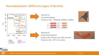 Neuroblastome: différents types d’identité
722/11/2017SIREDO : Soins Innovation Recherche en oncologie de l’Enfant, aDOles...