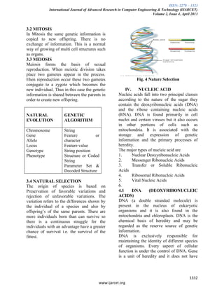 ISSN: 2278 – 1323
International Journal of Advanced Research in Computer Engineering & Technology (IJARCET)
Volume 2, Issue 4, April 2013
1332
www.ijarcet.org
3.2 MITOSIS
In Mitosis the same genetic information is
copied to new offspring. There is no
exchange of information. This is a normal
way of growing of multi cell structures such
as organs.
3.3 MEIOSIS
Meiosis forms the basis of sexual
reproduction. When meiotic division takes
place two gametes appear in the process.
Ehen reproduction occur these two gametes
conjugate to a zygote which becomes the
new individual. Thus in this case the genetic
information is shared between the parents in
order to create new offspring.
NATURAL
EVOLUTION
GENETIC
ALGORITHM
Chromosome
Gene
Allele
Locus
Genotype
Phenotype
String
Feature or
character
Feature value
String position
Structure or Coded
String
Parameter Set &
Decoded Structure
3.4 NATURAL SELECTION
The origin of species is based on
Preservation of favorable variations and
rejection of unfavorable variations. The
variation refers to the differences shown by
the individual of a species and also by
offspring’s of the same parents. There are
more individuals born than can survive so
there is a continuous struggle for the
individuals with an advantage have a greater
chance of survival i.e. the survival of the
fittest.
Fig. 4 Nature Selection
IV. NUCLEIC ACID
Nucleic acids fall into two principal classes
according to the nature of the sugar they
contain the deoxyribonucleic acids (DNA)
and the ribose containing nucleic acids
(RNA). DNA is found primarily in cell
nuclei and certain viruses but it also occurs
in other portions of cells such as
mitochondria. It is associated with the
storage and expression of genetic
information and the primary processes of
heredity.
The major types of nucleic acid are
1. Nuclear Deoxyribonucleic Acids
2. Messenger Ribonucleic Acids
3. Transfer or Soluble Ribonucleic
Acids
4. Ribosomal Ribonucleic Acids
5. Vital Nucleic Acids
6.
4.1 DNA (DEOXYRIBONUCLEIC
ACIDS)
DNA (a double stranded molecule) is
present in the nucleus of eukaryotic
organisms and it is also found in the
mitochondria and chloroplasts. DNA is the
chemical basis of heredity and may be
regarded as the reserve source of genetic
information.
DNA is exclusively responsible for
maintaining the identity of different species
of organisms. Every aspect of cellular
function is under the control of DNA. Gene
is a unit of heredity and it does not have
 