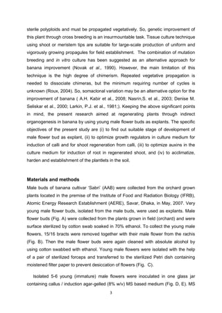In vitro plant regeneration from male flowers of banana | PDF