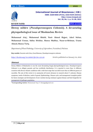 21 Atiq et al.
Int. J. Biosci. 2022
REVIEW PAPER OPEN ACCESS
Downy mildew (Pseudoperonospora Cubensis); A devastating
phytopathological issue of Muskmelon: Review
Muhammad Atiq*
, Muhammad Khalid, Nasir Ahmed Rajput, Adeel Sultan,
Muhammad Usman, Safina Iftekhar, Hamza Shahbaz, Nasar-ur-Rehman, Usama
Ahmed, Hamza Tariq
Department of Plant Pathology, University of Agriculture, Faisalabad, Pakistan
Key words: Cucumis melo Linn, Cucurbitaceae, Pseudoperonospora cubensis.
http://dx.doi.org/10.12692/ijb/20.1.21-28 Article published on January 04, 2022
Abstract
Downy Mildew of Muskmelon is one the most devastating fungal phytopathological issue. Pseudopernospora
Cubensis is an obligate parasite and has worldwide distribution. It is reported in more than 70 different
countries with diverse climatic conditions with a wide host range that can infect more than 20 different genera of
cucurbits. The aim of this review is to summarize all recent advances in research about P. cubensis, Disease
symptoms, mode of infection, mode of spread, Epidemiology, Disease cycle, and management (complete guide)
for future strategies and development of new varieties having resistance against disease and best fungicides for
management of pathogen population.
* Corresponding Author: Muhammad Atiq  dratiqpp@gmail.com
International Journal of Biosciences | IJB |
ISSN: 2220-6655 (Print), 2222-5234 (Online)
http://www.innspub.net
Vol. 20, No. 1, p. 21-28, 2022
 
