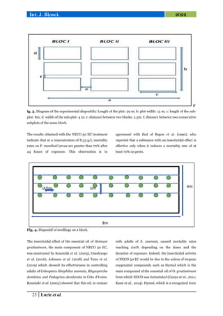 25 Lucie et al.
Int. J. Biosci. 2022
F
ig. 3. Diagram of the experimental dispositifa: Length of the plot: 29 m; b: plot width: 15 m; c: length of the sub-
plot: 8m; d: width of the sub-plot: 4 m; e: distance between two blocks: 2.5m; f: distance between two consecutive
subplots of the same block.
The results obtained with the NECO 50 EC treatment
indicate that at a concentration of 8.33 g/l, mortality
rates on P. manihoti larvae are greater than 70% after
24 hours of exposure. This observation is in
agreement with that of Begon et al. (1990), who
reported that a substance with an insecticidal effect is
effective only when it induces a mortality rate of at
least 70% on pests.
Fig. 4. Dispositif of seedlings on a block.
The insecticidal effect of the essential oil of Ocimum
gratissimum, the main component of NECO 50 EC,
was mentioned by Kouninki et al. (2005), Ouedraogo
et al. (2016), Johnson et al. (2018) and Tano et al.
(2019) which showed its effectiveness in controlling
adults of Coleoptera Sitophilus zeamais, Rhyzopertha
dominica and Podagrica decolorata in Côte d'Ivoire.
Kouninki et al. (2005) showed that this oil, in contact
with adults of S. zeamais, caused mortality rates
reaching 100% depending on the doses and the
duration of exposure. Indeed, the insecticidal activity
of NECO 50 EC would be due to the action of terpene
oxygenated compounds such as thymol which is the
main compound of the essential oil of O. gratissimum
from which NECO was formulated (Gueye et al., 2011;
Kassi et al., 2014). Hymol, which is a recognized toxic
 