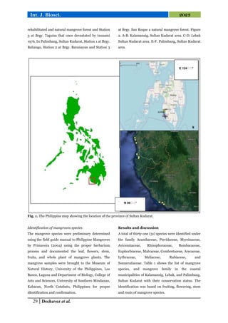 Philippines tsunami 1976
