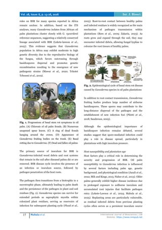 Basal Stem Rot of Oil Palm in Africa: Epidemiology, Pathogen Diversity ...